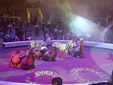 ДЕТСКИЙ ПРАЗДНИК В КИСЛОВОДСКОМ ЦИРКЕ